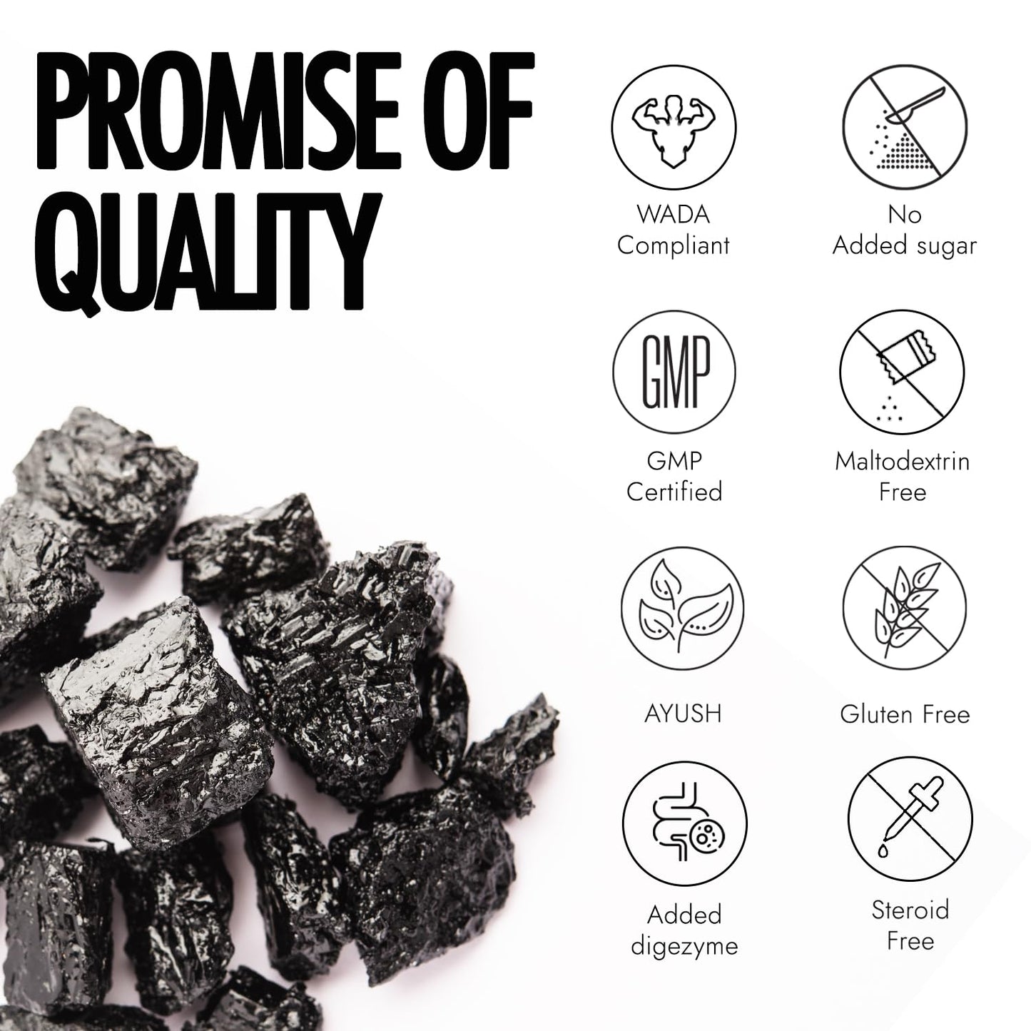 Kapiva Testofuel Shilajit Whey Protein 1kg Chocolate