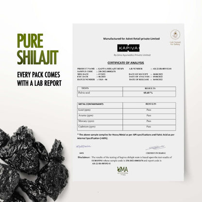 Kapiva Himalayan Shilajit/Shilajeet Resin