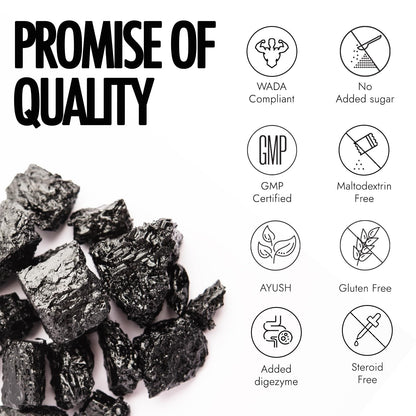 Kapiva Testofuel Shilajit Whey Protein 1kg Chocolate